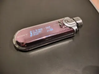 Walkman Sony MP3 NW-E507 Morado/Plata Reproductor