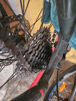 Bicicleta Orbea Carpe Talla S