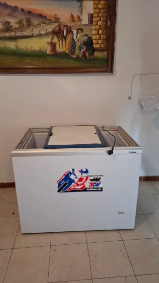 Arcón Congelador Blanco