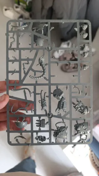 Bits Brutos Caos Warhammer