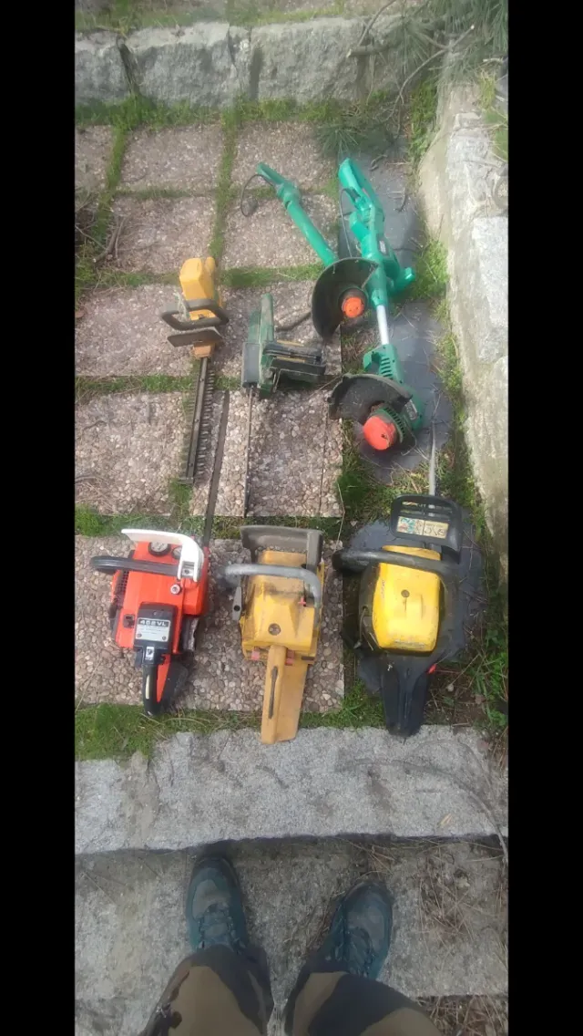 Lote Cortasetos y Motosierras