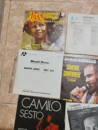 Lote Vinilos Música Variada