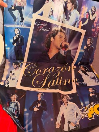 Lote especial fans David Bisbal