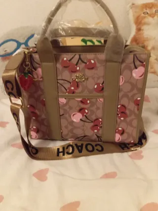 Bolso nuevo con fresas