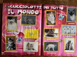 Album Amici Cucciolotti 2011