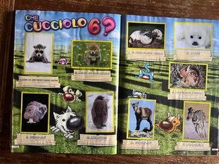 Album Amici Cucciolotti 2011