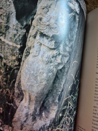 Libro ARGELIA  Patrimonio Cultural y Natural