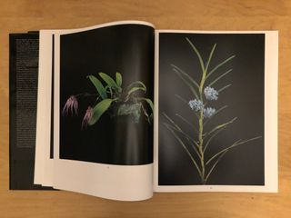 Botanica Magnifica (libro fotografico)