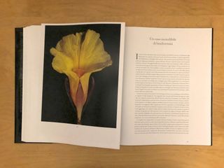 Botanica Magnifica (libro fotografico)