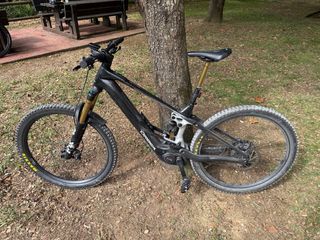 Orbea Wild M-Team 2025