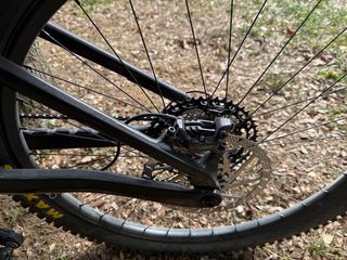 Orbea Wild M-Team 2025