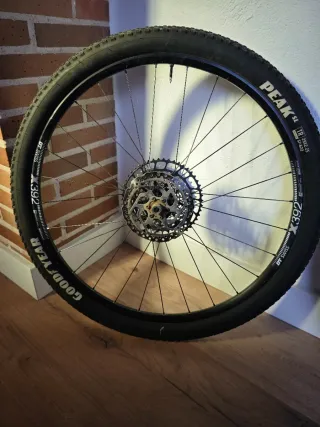 Ruote e coperture mtb 29 con cerchi e cassette.