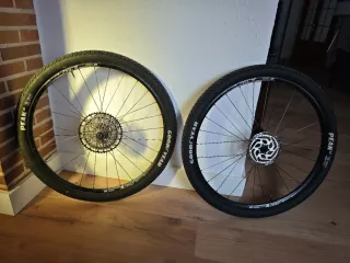 Ruote e coperture mtb 29 con cerchi e cassette.