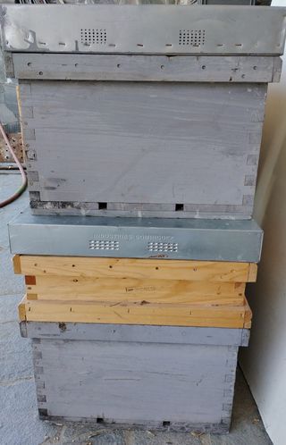 4 Cajas Apícolas Dadant