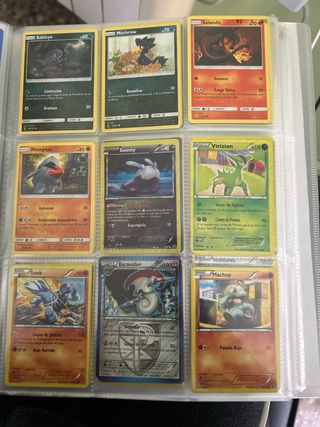 Cartas Pokémon Entrenador, Ducklett, Infernape