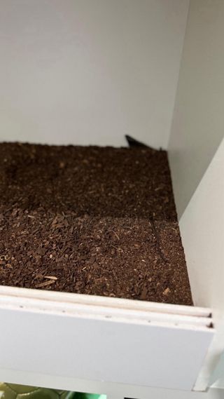 Terrario PVC Blanco y Transparente