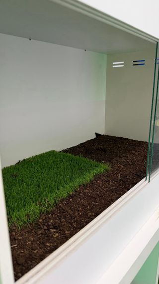 Terrario PVC Blanco y Transparente