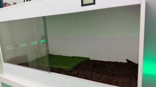 Terrario PVC Blanco y Transparente