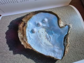 Qatar : Cultural and natural heritage