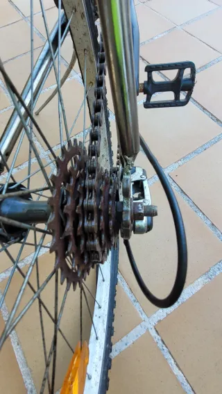 Bicicleta de montaña