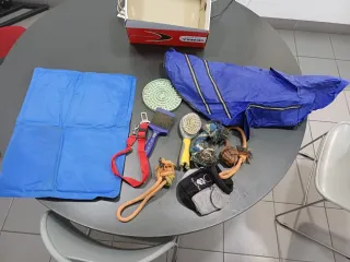 Lote Acessórios Cão: Casaco, Brinquedos, Escova