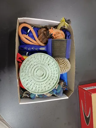 Lote Acessórios Cão: Casaco, Brinquedos, Escova