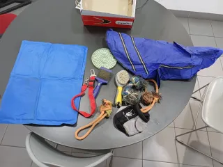 Lote Acessórios Cão: Casaco, Brinquedos, Escova