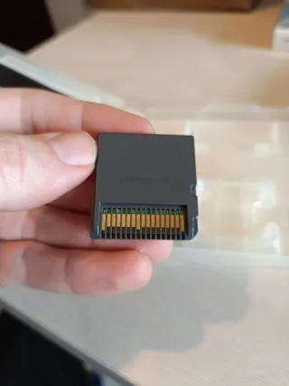 Pokémon Dash Nintendo DS