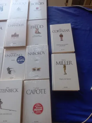 Lote de libros clásicos del siglo xx