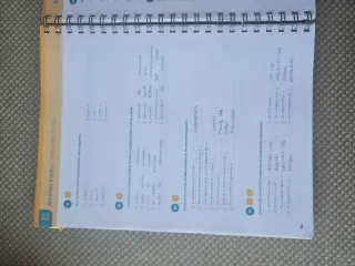 Llengua Catalana i Literatura 1