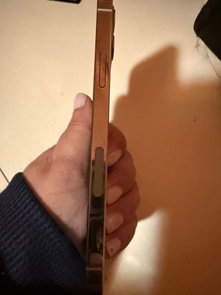 iPhone 12 Pro argento bianco, prezzo non riducibile