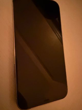 iPhone 12 Pro argento bianco, prezzo non riducibile