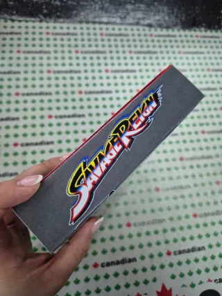 Savage Reign Neo Geo MVS