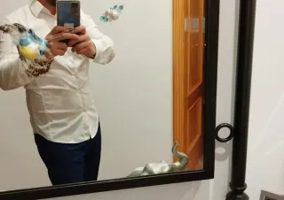 Chico masajista en elche