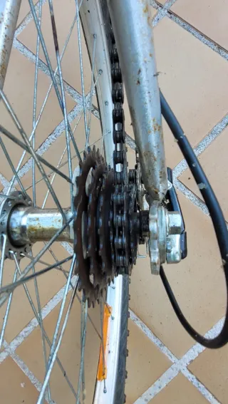 Bicicleta de montaña