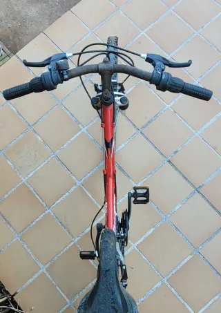 Bicicleta de montaña