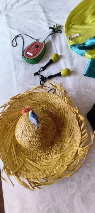 Disfraz Rumbero Talla Única