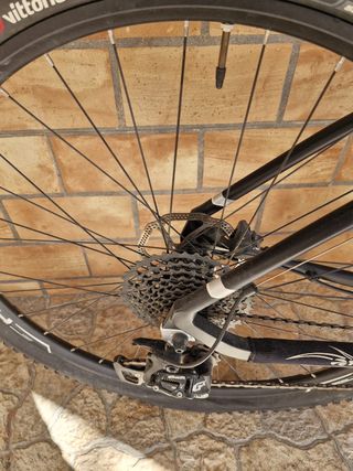 Bicicleta Paseo/Montagna Wolfbike