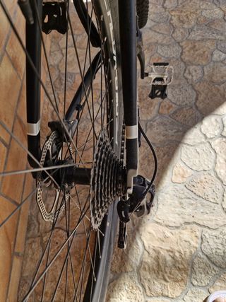 Bicicleta Paseo/Montagna Wolfbike