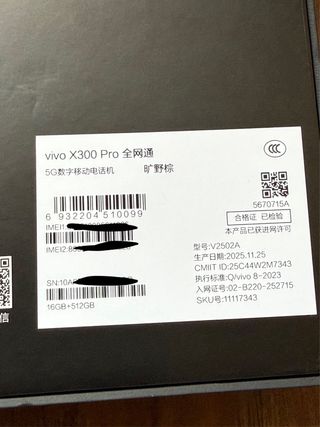 Vivo x300 Pro