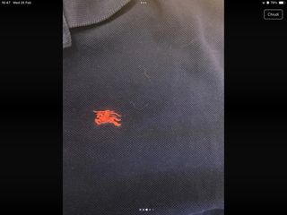 Polo Burberry Blu
