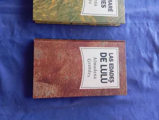 Lote 2 libros Almudena Grandes