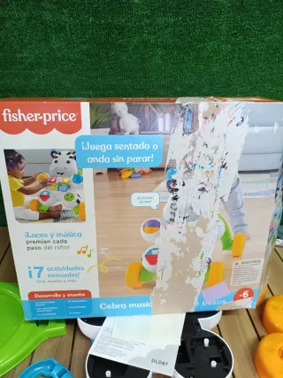 Cebra parlanchina primeros pasos, andador correpas