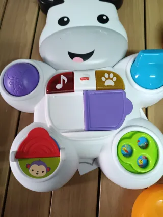 Cebra parlanchina primeros pasos, andador correpas