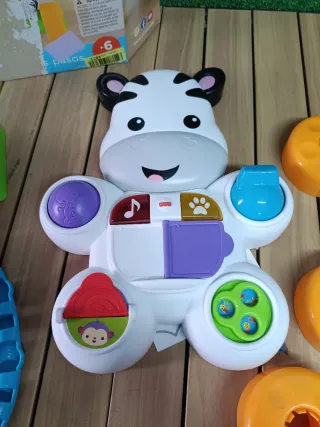 Cebra parlanchina primeros pasos, andador correpas