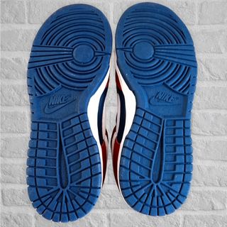 Nike Dunk Low Canyon Rust Mujer 38,5 Nuevas