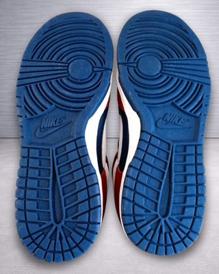 Nike Dunk Low Canyon Rust DD1503-114