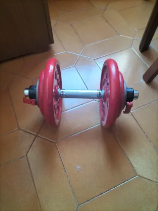 Mancuerna y discos pesas