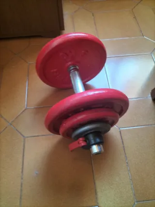 Mancuerna y discos pesas