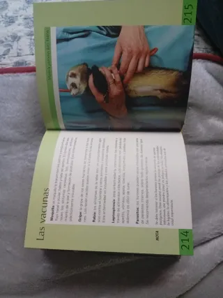 Guia de animales pequenos/ Guide to Small Anima...